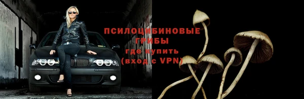 крисы Абинск